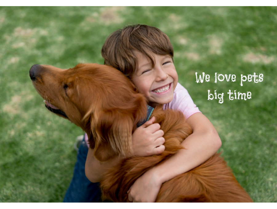 Jumbo Pets online Coupon