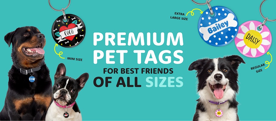 Best Bright Star Buddies Dog Tags And Bandanas Discount
