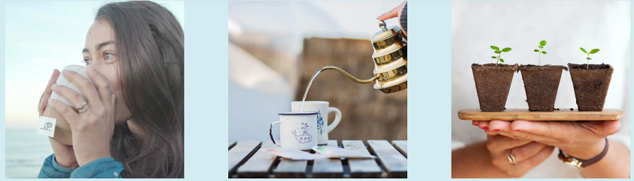 Steeped Coffee Discount